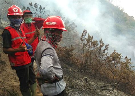 Upaya Pemadaman Kebakaran Gunung Slamet