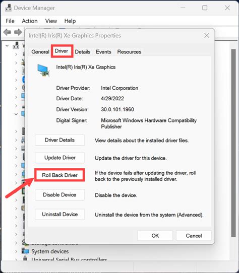 Update or Roll Back Display Driver