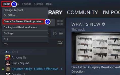Update the Steam Client