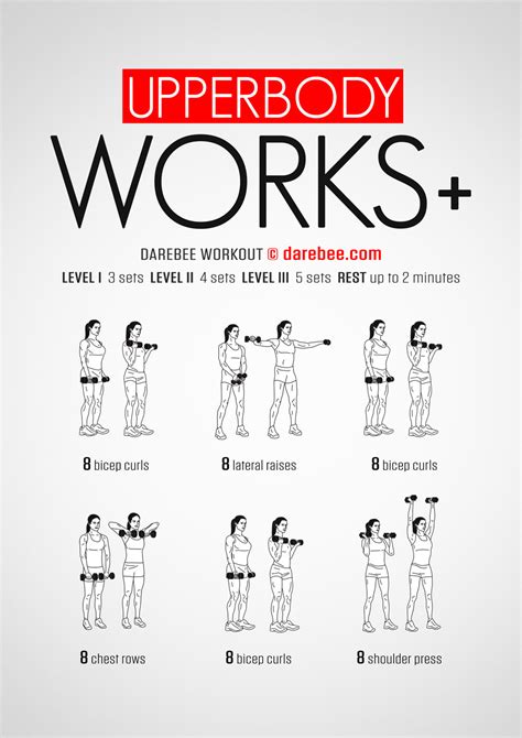Upper Body Weight Routines