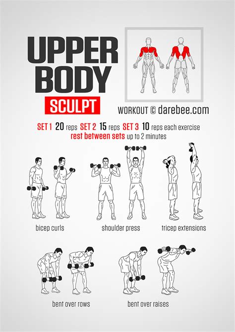 Upper Body Workout Routine Dumbbells