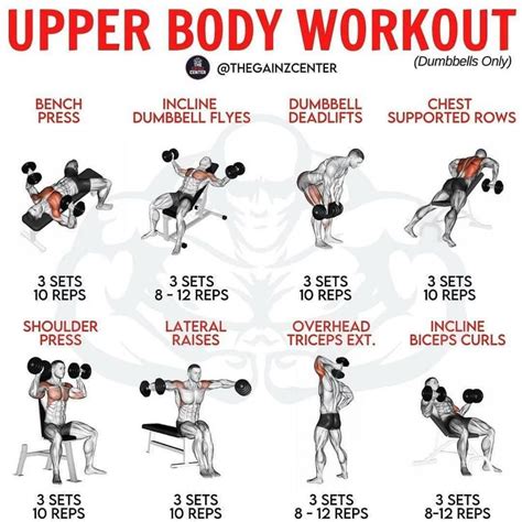 Upper Body Workout Routine In Gym