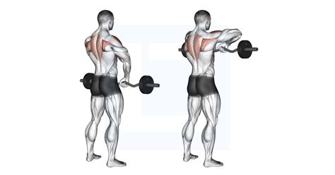 Upright Row Barbell