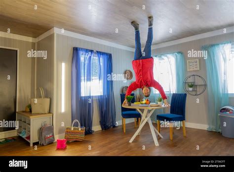 Upside Down House fun