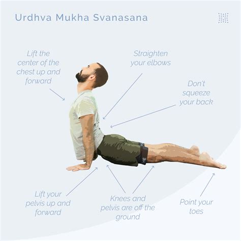 Upward Dog Flow
