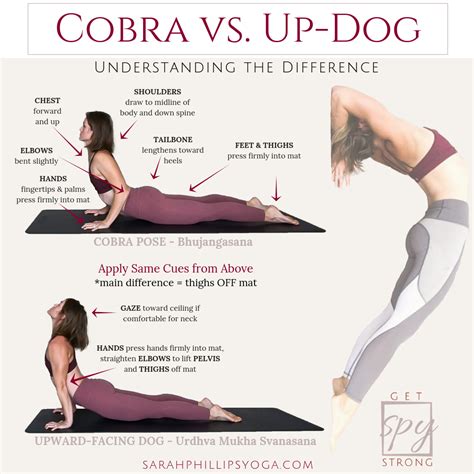 Upward Dog How To