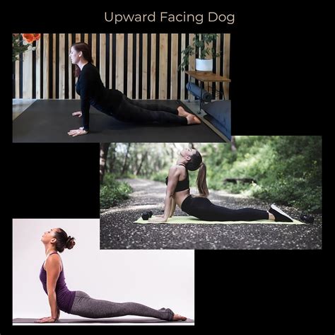 Upward Facing Dog Alignment