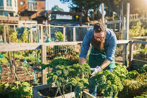 How urban agriculture can improve food security in US cities