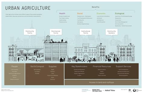 Urban Farming Infographic