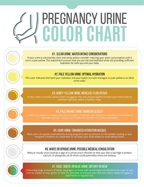 Urine Color Chart Pregnancy