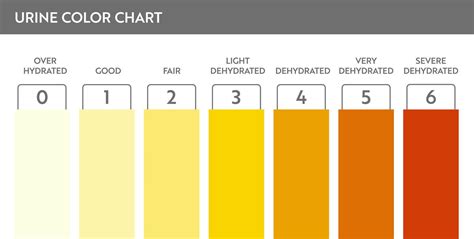 Urine Test Colour Chart