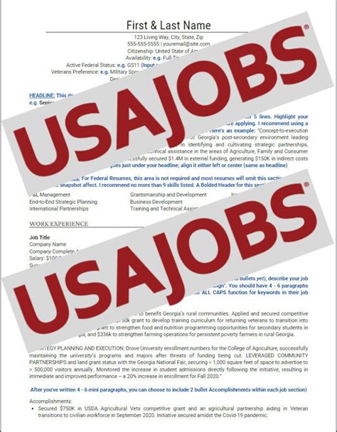 Usa Jobs Resume Sample
