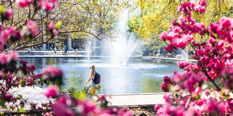 Usc Aiken Spring Break 2024