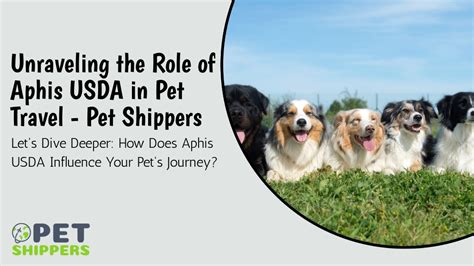 Usda Flying With Pets