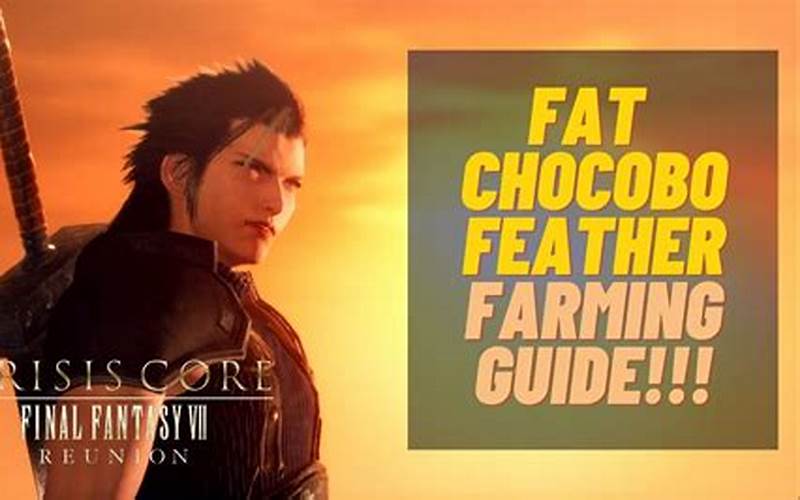 Use Fat Chocobo Feather