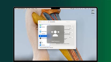 Use Head Pointer to Control the On-Screen Cursor on Mac