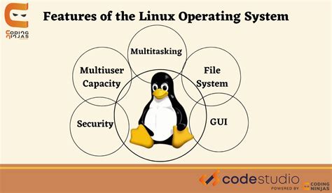 Use Linux Features