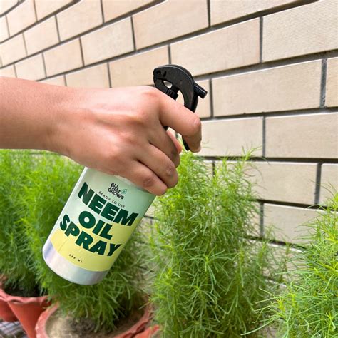 Use Neem Oil Spray