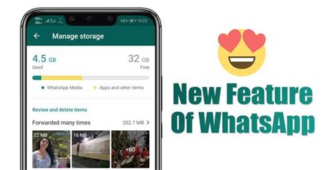 Use New Storage Management Feature in WhatsApp on iPhone
