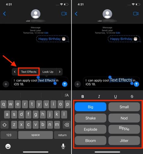 Use Text Effects Feature in iOS 18