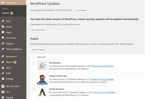 Use The WordPress Built-In Update System