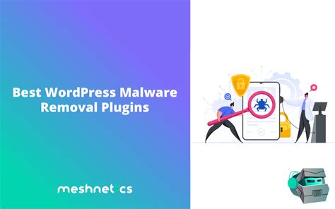 Use WordPress Malware Removal Plugins