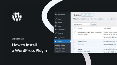 Use WordPress Plugins