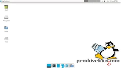 Use a Live Linux Distro To See If SSD Shows Up