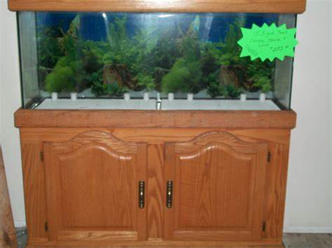 Used Fish Tank