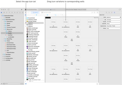 User Selected App Icon In Asset Catalog