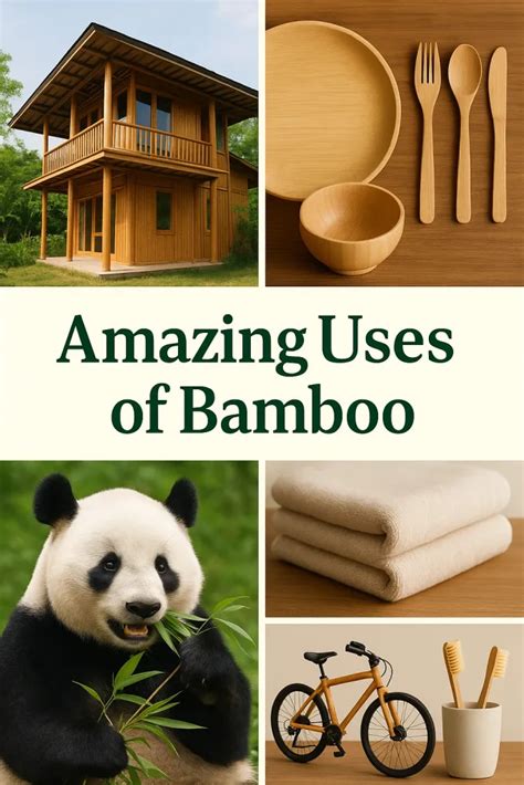 Uses For Bamboo