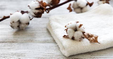 Uses of Cotton