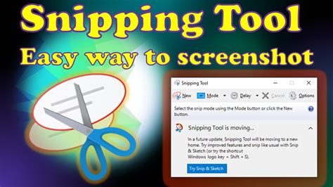 Using the Snipping Tool