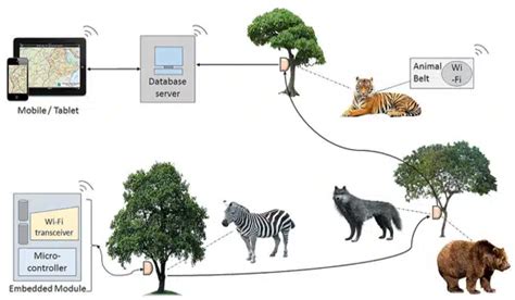 Using AI to Track Deer Movements and Behavior