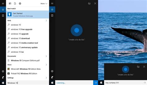 Using Cortana Search