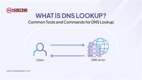 DNS Lookup Tool Logo