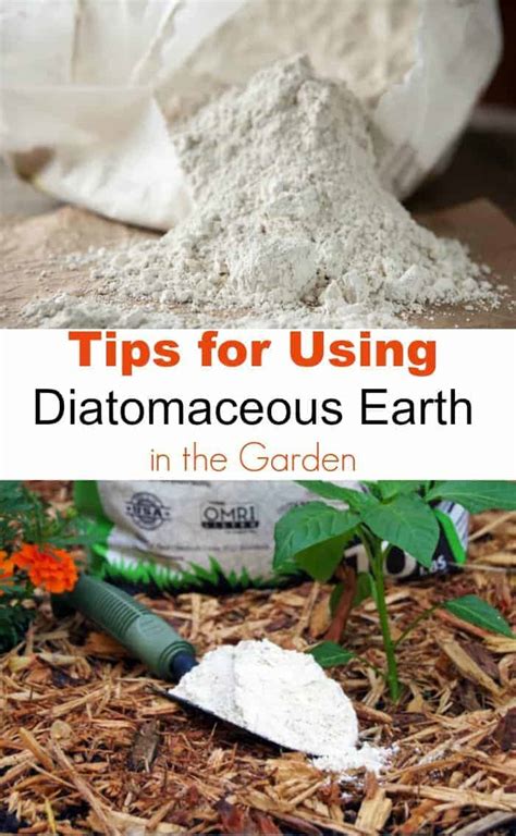 Using Diatomaceous Earth (DE) Safely