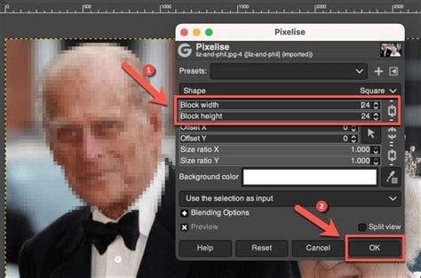 Using GIMP to Pixelate Images on Windows or Mac