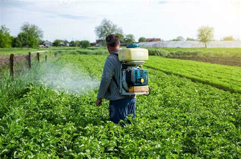 Using Insecticides Safely