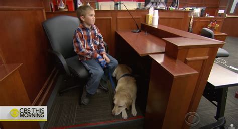 Using Lawyer Dogs in the Courtroom
