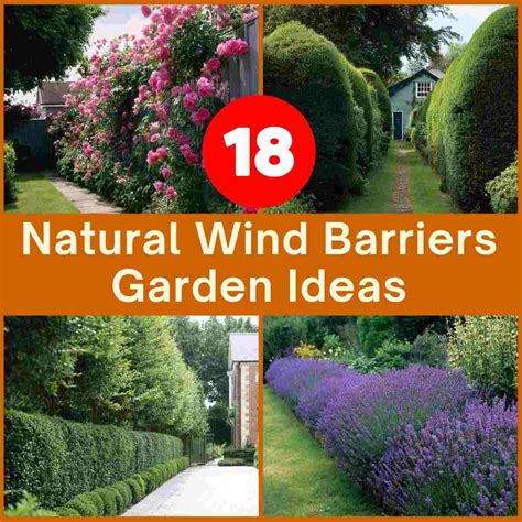 Using Natural Barriers and Treatments