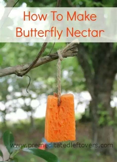 Using Nectar to Lure Them Down