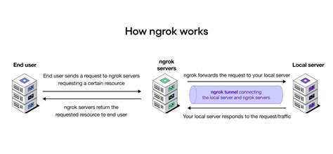 Using Ngrok, too