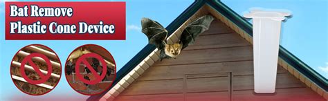 Using One-Way Exclusion Devices