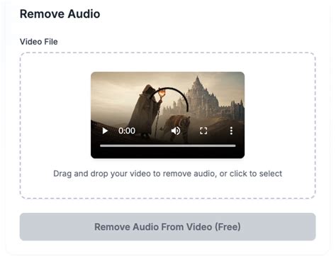 Using Online Services to Remove Audio From Video
