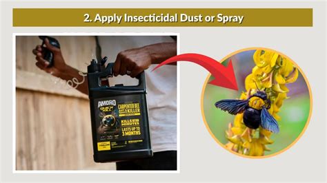 Using Specialized Insecticidal Dust