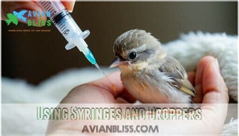 Using Syringes and Droppers Safely