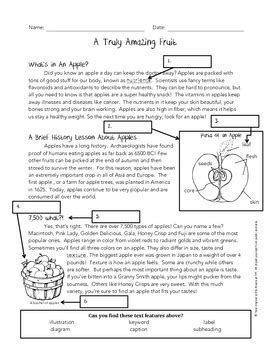 Using Text Features Worksheet - Apples by Jessica Rivera | TpT