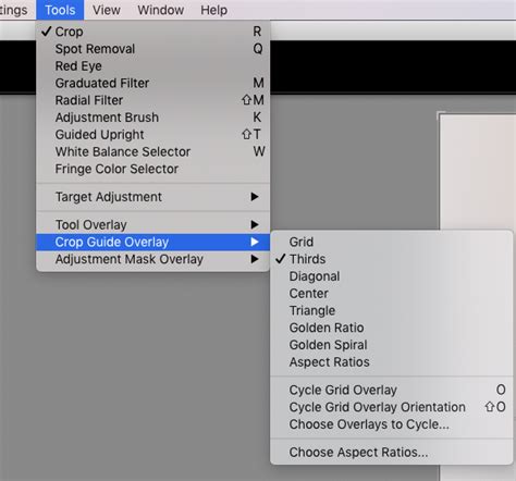 Using The Crop Tool Overlay