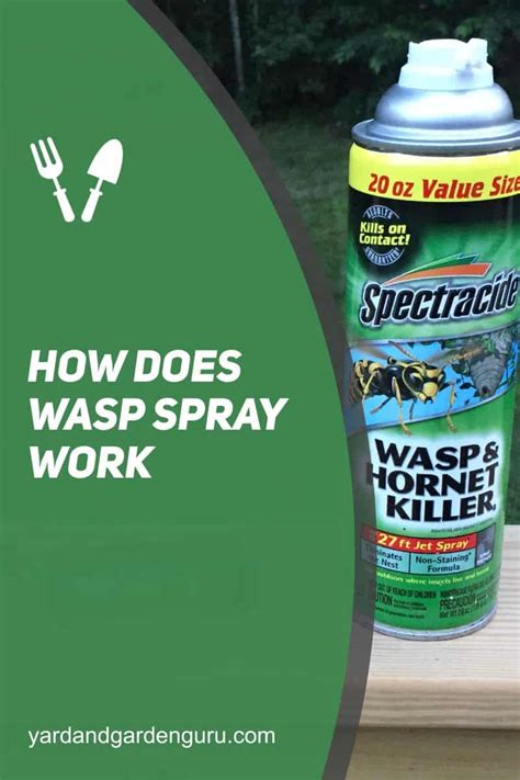 Using Wasp/Insecticide Spray
